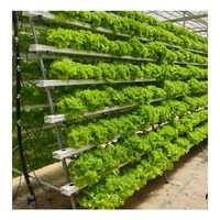 Système de culture hydroponique Sinok Agriculture pour laitues/épinards/basilic, serres commerciales pour légumes, agriculture verticale intelligente