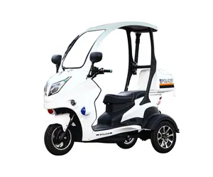 Adult bicycle tricycle Car/Electromobile/Mini electric scooter with roof