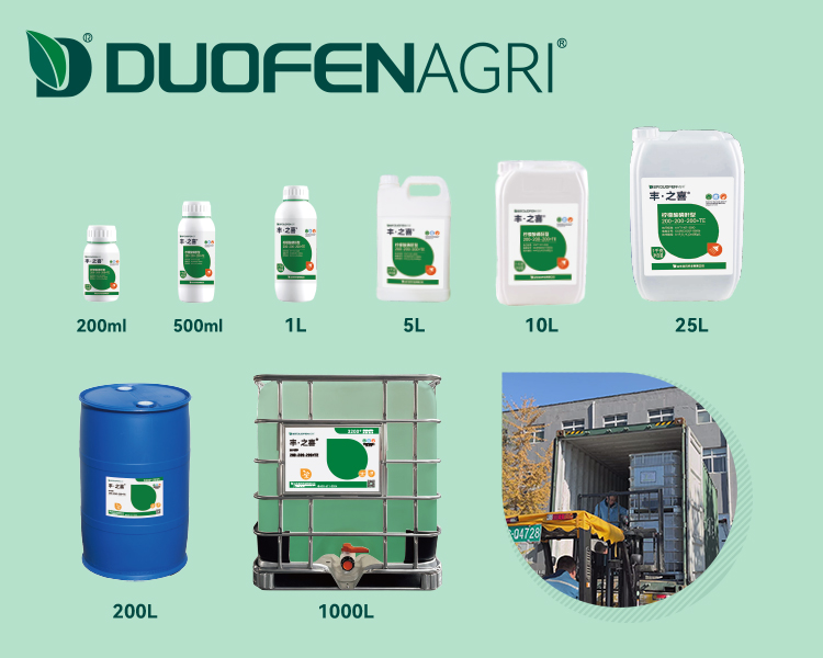 Wholesale Seaweed PK Fertilizer 0-35-45 Liquid Trace Elements image 6