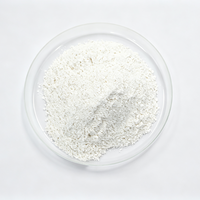 Poudre de talc modifiée de haute pureté, traitée en surface, fine, marque ChengWei, origine CN/JIA, pour le renforcement des plastiques et les revêtements