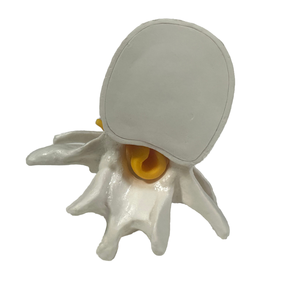 Model kerangka sains medis, untuk demonstrasi herniasi Lumbar bahan PVC untuk pelatihan perawat di sekolah - Product Image 6