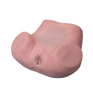 चिकित्सा विज्ञान यथार्थवादी संरचनात्मक मॉडल ज्वलंत प्रशिक्षण मॉडल Gynecological श्रोणि परीक्षा मॉडल के लिए शिक्षा शिक्षण - Product Image 1