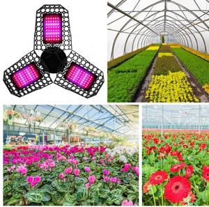 Lumière de croissance LED intérieur extérieur à spectre complet lumière de plante déformable 144 lumière LED pour les semis de plantes - Product Image 6