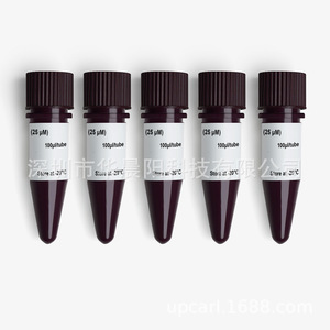 Hua Chenyang HCY HotStart SYBR Green qPCR Master Mix 50ulx40T Tubo Para Uso Exclusivo en Investigación - Product Image 2