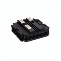 Buy Electronics Components Online Module DD250S65K3C1NPSA1 Diode Arrays In Stock