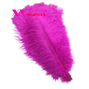 50-55 cm For Decorations Ostrich Feather Wholesale Hot Selling Gorgeous Natural Bag Custom Party Wedding Customized Logo Packing