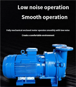 Sıvı Halkalı Vakum Pompası Uzun Ömürlü Yağlı Rulmanlı Endüstriyel Su Arıtma Vakum Gaz Giderme İçin - Product Image 3