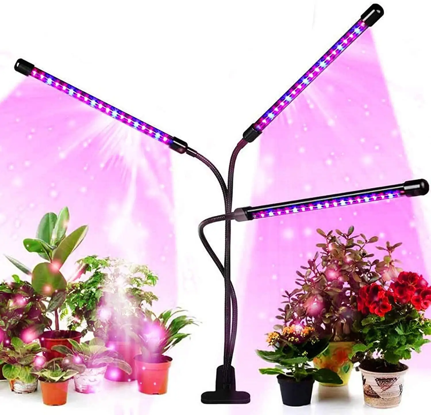 Luz LED de espectro completo para cultivo de plantas de interior, bombillas LED rojas y azules para plantas de interior con función de luces LED para cultivo de plantas