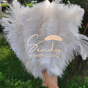 Plumes d'autruche multicolores bon marché sélectionnées de 50-55 cm pour les mariages, les fêtes, les événements, les centres de table, les costumes de <span class=keywords><strong>carnaval</strong></span>, les décorations - Product Image 3