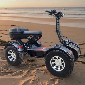 Cuatrimoto Eléctrica Todoterreno RY-S4 de 10000W, Batería de Litio de 60V 60AH, Tiempo de Carga de 8-10 Horas - Product Image 1