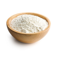 Poudre de supplément de protéine végétale d'additifs alimentaires | Isolat de protéine de noix de coco 60-85%