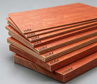 Contreplaqué brun, contreplaqué marin, contreplaqué imperméable, panneaux WBP de 18 mm pour les zones extérieures humides