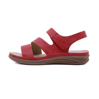 Summer Fashion Ladies Flat Sandals New Shoes Set 2022 Chaussures Chaussures Femmes Grande Taille Semelle Souple Femmes Sandales Chaussures PU pour Femmes