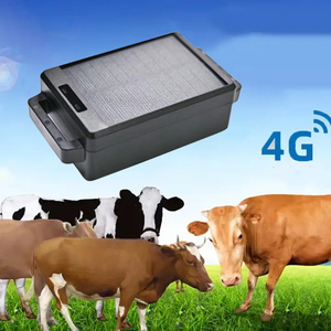 Gia súc thông minh động vật GPS Tracker với ứng dụng điều khiển thời gian thực năng lượng mặt trời gia súc GPS theo dõi thiết bị cho bò ngựa định vị GPS Tracker - Product Image 1
