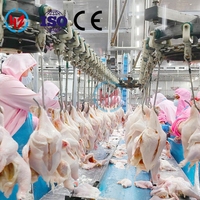 Machine d'abattage de volaille rapide de 300 à 15 000 BPH, conforme aux normes halal, avec moteur et roulements, matériaux de haute qualité et assistance clé en main
