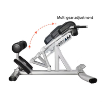 Équipement commercial de gymnastique réglable assis chaise romaine machine d'extension de dos équipement de musculation professionnel