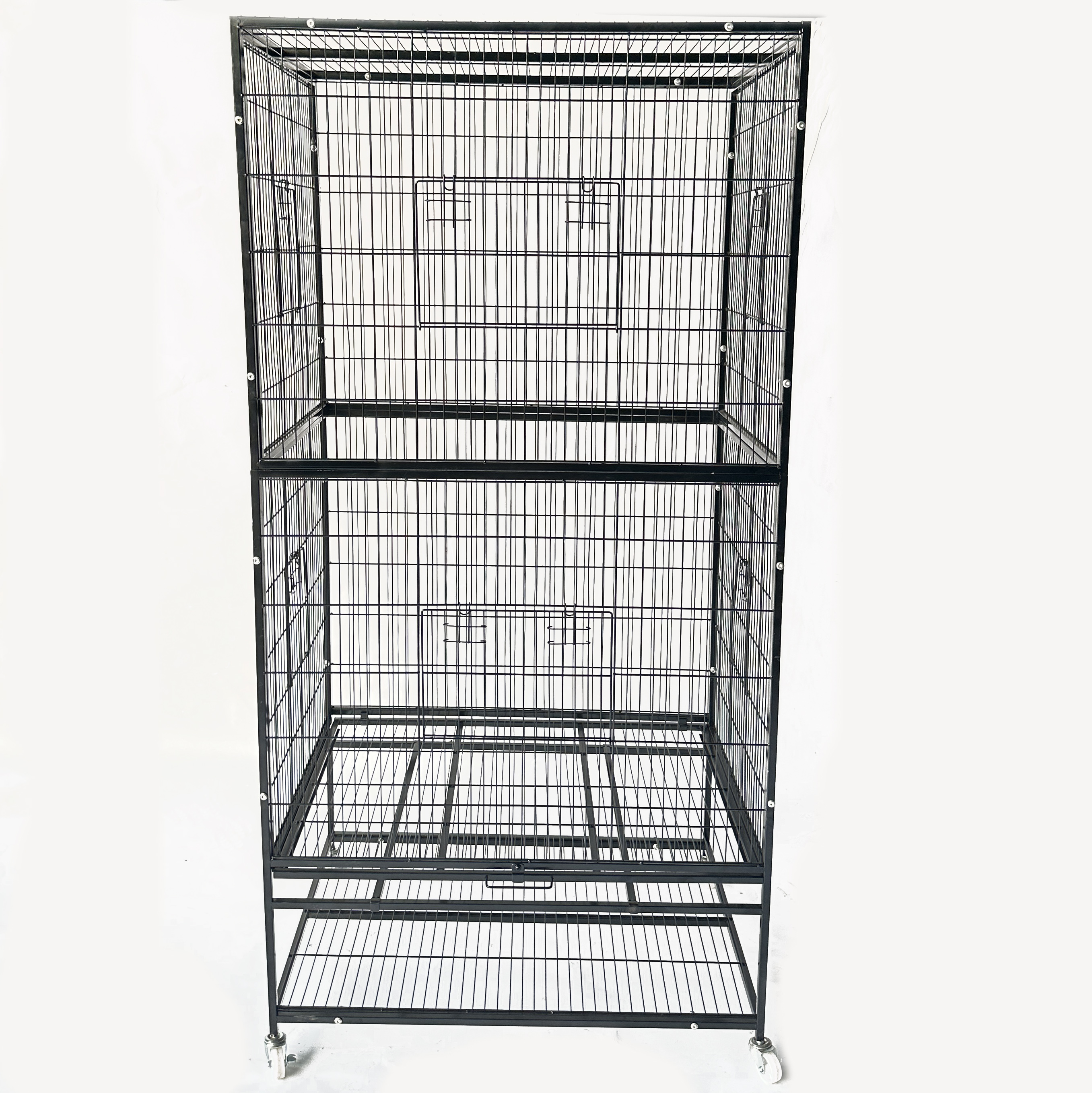 foldable display cage for birds