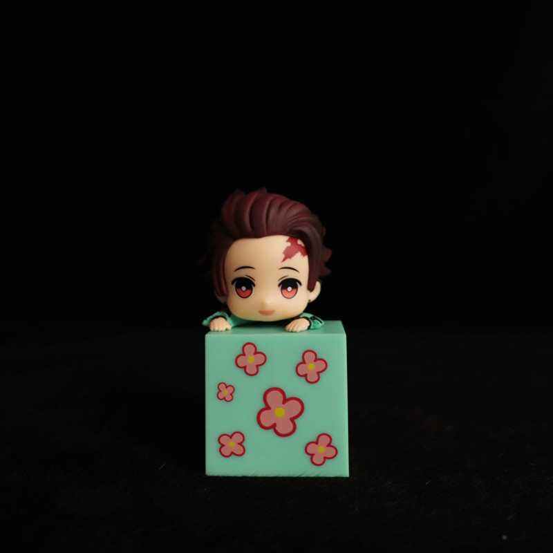 คาร์บอน2รุ่น zhiriou