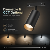 Kit d'éclairage intelligent RGB à rail magnétique modulaire, grille linéaire, dimmable, compatible Matter et Alexa, pour projets hôteliers, commerciaux et de bureaux