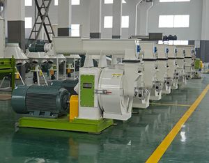 Máquina Automática <span class=keywords><strong>de</strong></span> <span class=keywords><strong>Pellets</strong></span> <span class=keywords><strong>de</strong></span> Biomasa con Enfriador y Tamiz Incorporados para <span class=keywords><strong>Pellets</strong></span> Libres <span class=keywords><strong>de</strong></span> Polvo, Listos para Envasar - Product Image 2