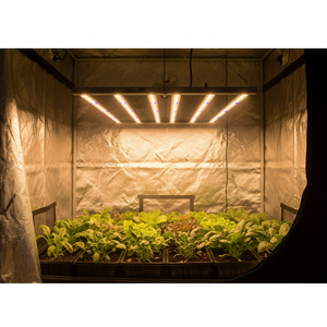 Lámpara de Cultivo Samsung SLTMAKS de 720W, Sistemas de Iluminación Hidropónica, Luces LED de Cultivo de Espectro Completo - Product Image 1