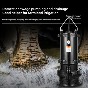 <span class=keywords><strong>Pompe</strong></span> submersible WQX à levage élevé et surpression personnalisée, <span class=keywords><strong>pompe</strong></span> centrifuge verticale pour eaux usées <span class=keywords><strong>avec</strong></span> interrupteur à <span class=keywords><strong>flotteur</strong></span> - Product Image 6