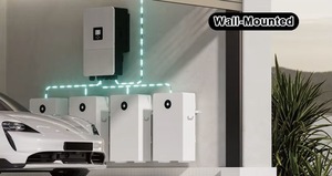 Batería de Iones de Litio Solar de 48V 5kwh RW-L5.1, Estándar Europeo, <span class=keywords><strong>Precio</strong></span> al por Mayor de Deye, para Sistemas de Energía Solar - Product Image 5