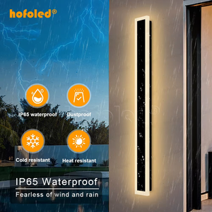 Aplique de Pared Acrílico Hofoled 110V 220V para Exteriores, Lámpara de Interior para Dormitorio y Jardín, Luz de Pared <span class=keywords><strong>Solar</strong></span>/Luz de Pared LED/Lámpara de Pared LED - Product Image 2