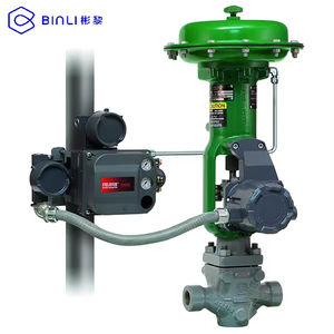 Posicionador de Válvula Neumática Fisher DVC6200 con Comunicación HART, Montaje Integral, Soporte OEM, Presión Máxima de Salida de 145 Psig - Product Image 5