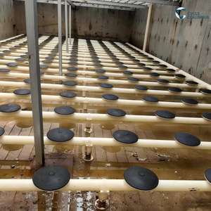 Aeratore a Disco Sollevabile con Membrana a Bolle Fini, Alta Efficienza di Ossigenazione per Impianti di Trattamento Acque Reflue, Garanzia 1 Anno, Potenza 30-150kW - Product Image 3