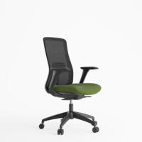 La Chine Executive Boss préside la chaise de bureau ergonomique de maille confortable de pivot MidBack avec le soutien lombaire