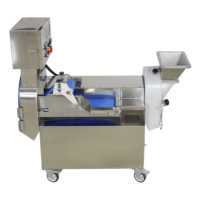 Automatische multifunctionele groentesnijmachine voor aardappel, wortel, ui, kool en voedselverwerking