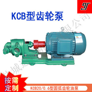Pompe à engrenages circulaires Eboton YCB600 55L/min, pompe rotative auto-amorçante électrique pour transfert de produits chimiques, corps en fonte, acier inoxydable 304 - Product Image 2