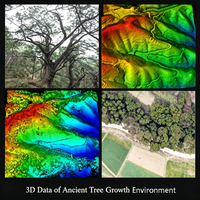 Escáner LiDAR LiGrip O2, Escáner Láser Terrestre para Estudio de Árboles Antiguos, Mapeo de Nubes de Puntos 3D y Segmentación Individual de Árboles