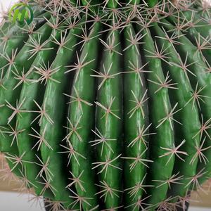 Top Vente <span class=keywords><strong>Cactus</strong></span> Artificiel Balled En Pot Haute Simulation Succulentes Bonsaï <span class=keywords><strong>Prix</strong></span> Usine Faux <span class=keywords><strong>Cactus</strong></span> Plante pour La Décoration - Product Image 3