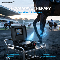 Appareil de thérapie par ondes de choc pour chevaux, portable, en valise, pour la relaxation musculaire des chevaux
