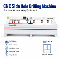 Machine à percer horizontale CNC à deux axes pour panneaux de particules MDF avec servomoteur et broche de perçage haute précision
