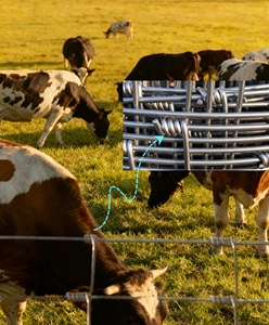 سياج حديقة معدني بطول 6 أقدام - خفيف الوزن وعالي القوة وصديق للبيئة ومقاوم للماء بتصميم عصري للاستخدام المنزلي - Product Image 5