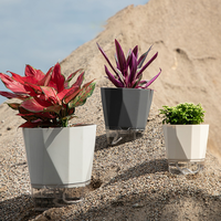 Pots à absorption d'eau automatique, pot à fleurs auto-arrosant en corde de coton, pot à fleurs transparent, pot à fleurs en plastique auto-arrosant pour paresseux