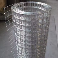 Offre Spéciale : Rouleau de Treillis Soudé en Fil de Fer Galvanisé pour Clôture à Mailles Carrées, 1,85 mm, Taille Personnalisée Disponible