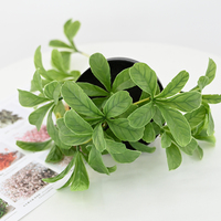Plantes artificielles en pot de 40 cm en gros, simulation de plantes vertes pour la décoration de bureau, fausses plantes pour la décoration intérieure