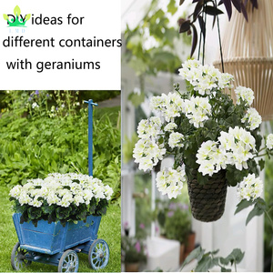 Géraniums Artificiels Fleurs De Soie Blanc Bush Fleurs Géraniums Branche pour Jardin Patio Grave Vase Table Centre De Table Décor Intérieur - Product Image 6