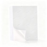Papier de copie auto-adhésif pour impression jet d'encre Nine Leaves A4 blanc 250g Guangdong