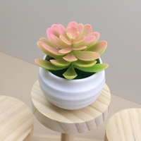Mini Lotus Artificiel en Plastique en Gros pour Décoration de Table, Plante Imitation Succulente, Fleur Artificielle Verte, Bonsaï
