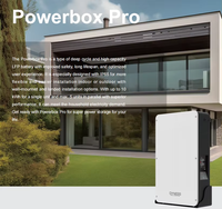 Dyness Powerbox Pro Smart Lifepo4 200ah 51.2v Powerwall penyimpanan energi 10kwh baterai Lithium Powerstation Harga Lithium