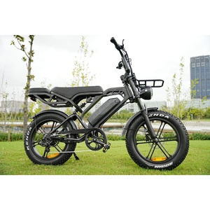 Bicicleta Eléctrica Zerogo, Bicicleta de Montaña Especializada, Fatbike V20 Pro Nederland, Mini Fatbike de 20 Pulgadas, Almacén en el Extranjero - Product Image 1