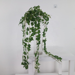 6 tiges, 360 feuilles, 80 cm de long, plante artificielle miniature en filet suspendue pour la décoration murale de la maison et du jardin - Product Image 5