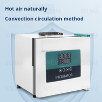 Incubateur portable WEIAI pour véhicule, 9L, pour semences, reptiles, microbiologie, cellules, usage médical, chauffage électrique, thermostaté