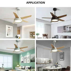 Modern Nordic Style Minimalist Surface Ceiling Mounted Led Ceiling Light Fan Remote Low Noise Fancy Black Ceiling Fan With Light