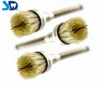 Brosses de polissage dentaires manuelles avec poils métalliques Instrument de haute qualité certifié CE pour le nettoyage et le polissage